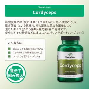 スワンソン コルディセプス (冬虫夏草) 60...の詳細画像1
