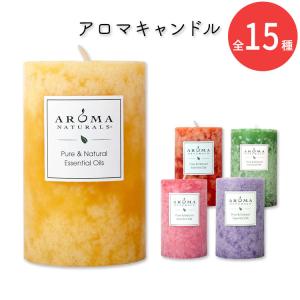 Bath＆Body Works バス&ボディワークス ギンガム 3本芯キャンドル 411g