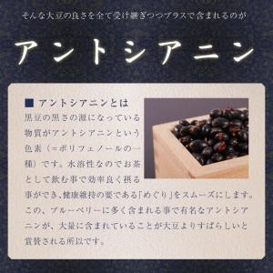 黒豆茶 30包1000円 お試し ポイント消化の詳細画像3