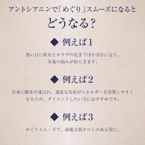 黒豆茶 30包1000円 お試し ポイント消化の詳細画像4