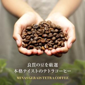 コーヒー 珈琲 キリマンジャロ MGCテトラコ...の詳細画像1