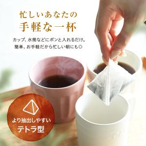 コーヒー 珈琲 キリマンジャロ MGCテトラコ...の詳細画像2