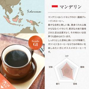 コーヒー 珈琲 キリマンジャロ MGCテトラコ...の詳細画像5