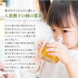 柿の葉茶 国産 3g×50包 ティーバッグ 水...の詳細画像1