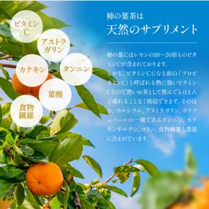 柿の葉茶 国産 3g×50包 ティーバッグ 水...の詳細画像2