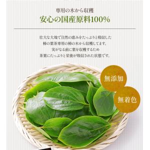 柿の葉茶 国産 3g×50包 ティーバッグ 水...の詳細画像3