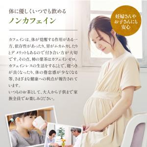 柿の葉茶 国産 3g×50包 ティーバッグ 水...の詳細画像5
