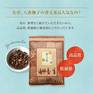 善玉茶 5g×50包入り 無添加 保存料なし ...の詳細画像3