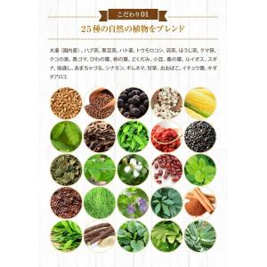 善玉茶 5g×50包入り 無添加 保存料なし ...の詳細画像5