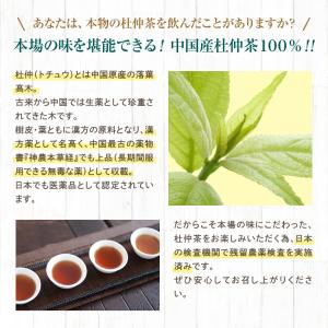 杜仲茶 100包 中国茶 ティーバッグ 八重撫...の詳細画像3