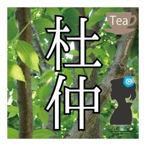 杜仲茶（とちゅう/トチュウ）2000g(2g×1000包)業務用｜suppleherb