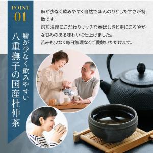 国産杜仲茶 ティーバッグ 無農薬 送料無料 3...の詳細画像1