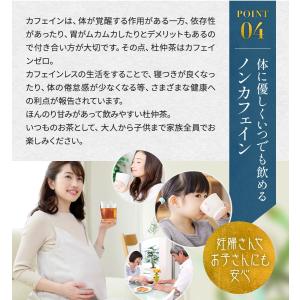 国産杜仲茶 ティーバッグ 無農薬 送料無料 3...の詳細画像5