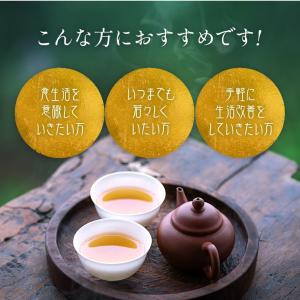 杜仲茶 国産 ティーバッグ 無農薬 送料無料 ...の詳細画像4