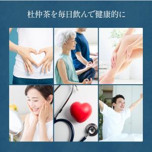 杜仲茶 国産 ティーバッグ 無農薬 送料無料 ...の詳細画像5