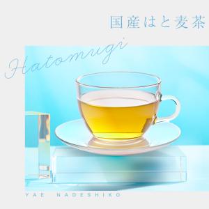 はと麦茶 国産 ハトムギ茶 ティーバッグ 2....の詳細画像1