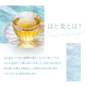 はと麦茶 国産 ハトムギ茶 ティーバッグ 2....の詳細画像2