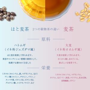 はと麦茶 国産 ハトムギ茶 ティーバッグ 2....の詳細画像3