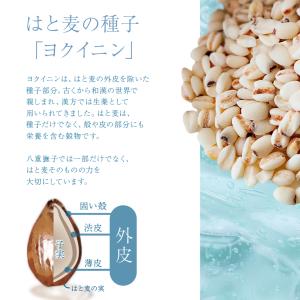 はと麦茶 国産 ハトムギ茶 ティーバッグ 2....の詳細画像5