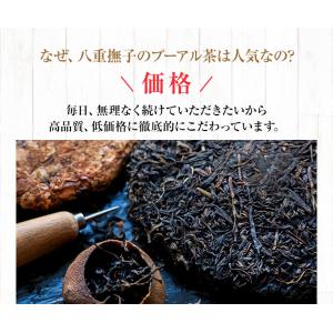 プーアル茶 パック(プアール/プーアール/黒茶...の詳細画像2