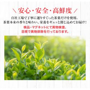 プーアル茶 パック(プアール/プーアール/黒茶...の詳細画像3