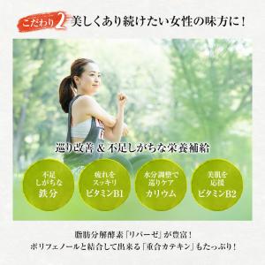 プーアル茶 パック(プアール/プーアール/黒茶...の詳細画像5