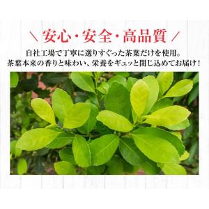 ブラックマテ茶(ローストマテ)2g×100包 ...の詳細画像2