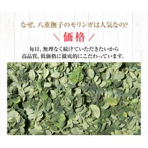 モリンガ茶 160g(2g×80包) 1300...の詳細画像2