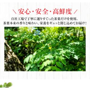 モリンガ茶 160g(2g×80包) 1300...の詳細画像3