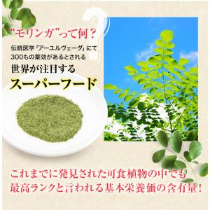 モリンガ茶 160g(2g×80包) 1300...の詳細画像4