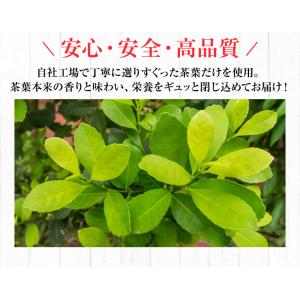 マテ茶(まて)ティーバッグ 200g(2.2g...の詳細画像3