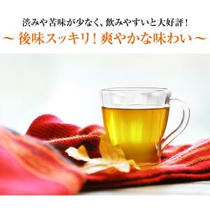 マテ茶(まて)ティーバッグ 200g(2.2g...の詳細画像3