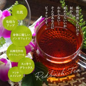 【3個まとめ買いセット】オーガニックルイボステ...の詳細画像1