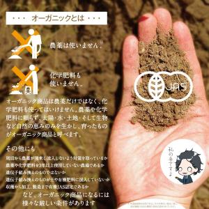 オーガニック ルイボスレモングラスティー80包の詳細画像1