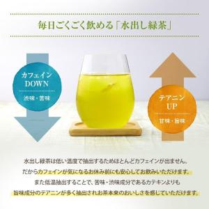 緑茶 オーガニック水出し緑茶 抹茶入り 3g×...の詳細画像3