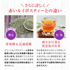 グリーンルイボスティー 55包 1000円ポッ...の詳細画像4