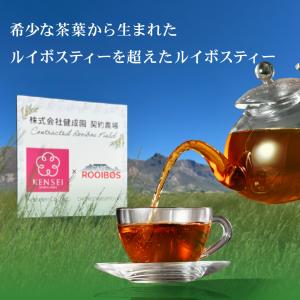 オーガニック グリーンルイボスティー1000円...の詳細画像1