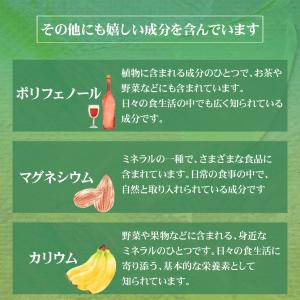 オーガニック グリーンルイボスティー1000円...の詳細画像5