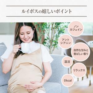 ルイボスティー ティーバッグ 2g103包 選...の詳細画像4