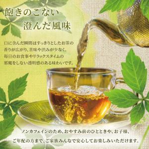 あまちゃづる茶(アマチャヅル/甘茶蔓/スイート...の詳細画像2