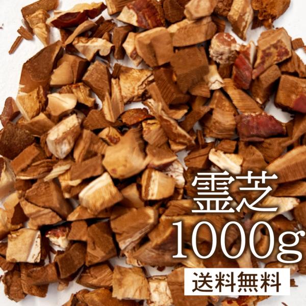 万年茸茶（霊芝茶/レイシ茶）業務用1000g　送料無料 OM