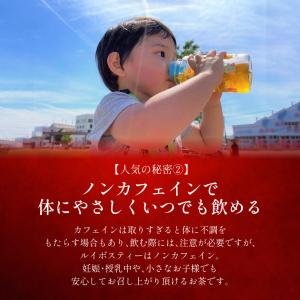 ルイボスティー 103包 水出しOK ティーバ...の詳細画像5