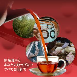 ルイボスティー オーガニック 130包 【1包...の詳細画像2