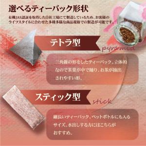 ルイボスティー オーガニック 130包 【1包...の詳細画像5