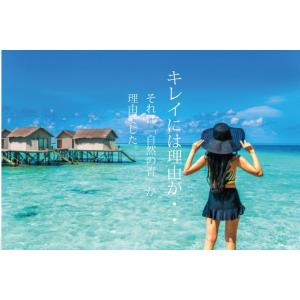 バタフライピー 青いお茶 花弁タイプ増量50g...の詳細画像3