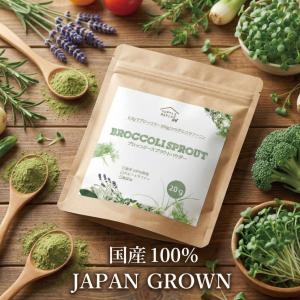 国産 ブロッコリースプラウトパウダー 国産 無...の詳細画像2