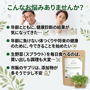 ブロッコリースプラウト パウダー 国産 無添加...の詳細画像4