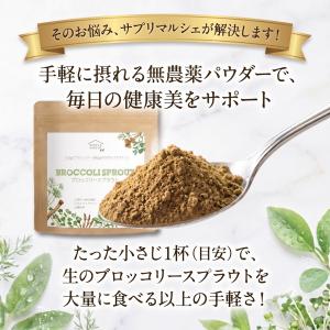 ブロッコリースプラウト パウダー 国産 無添加...の詳細画像5