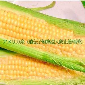 ダイエットコーンスープ200g ソイプロテイン...の詳細画像4