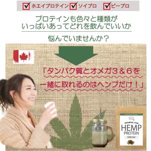 非加熱ヘンププロテインパウダー 400g 純度...の詳細画像5